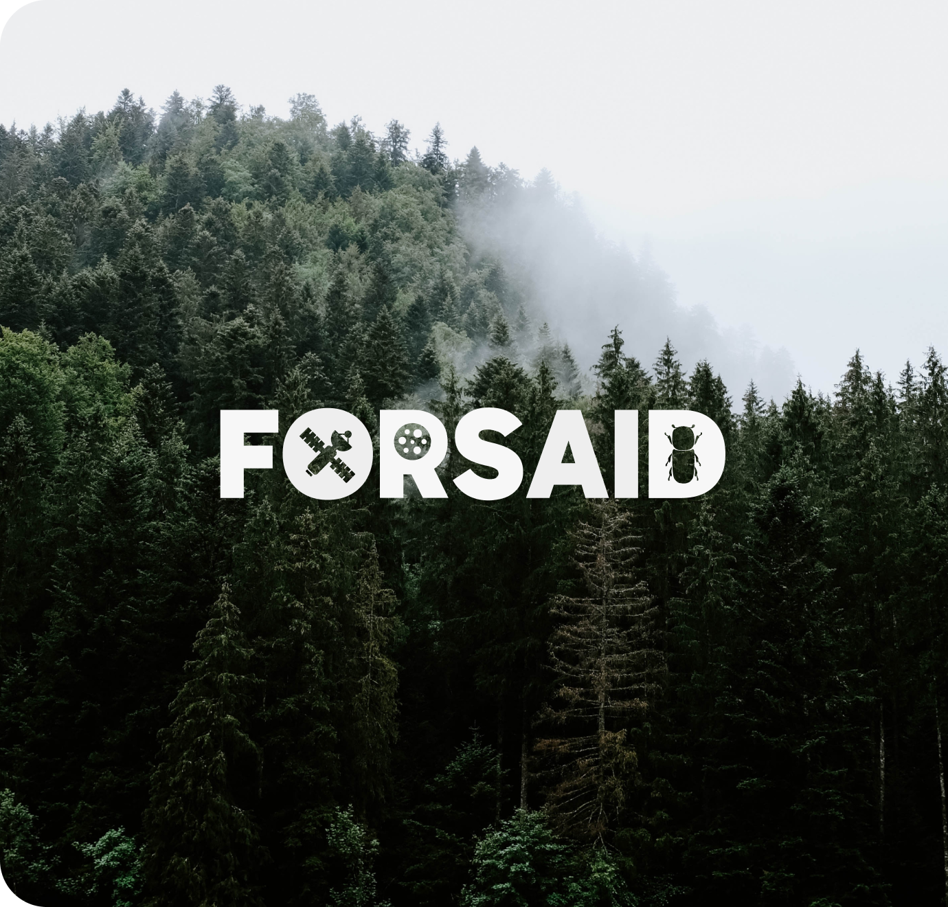 The new FORSAID project sets out to innovate forest pest control in Europe