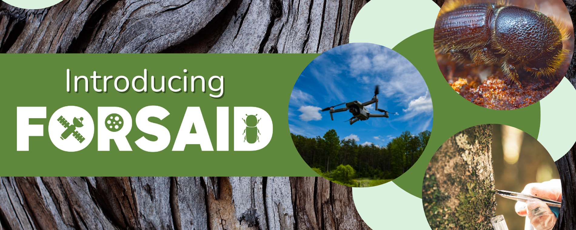 The FORSAID project at a glance in new introductory video