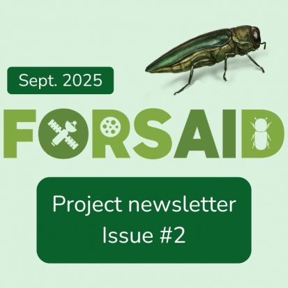 The second issue of FORSAID's project newsletter has been released