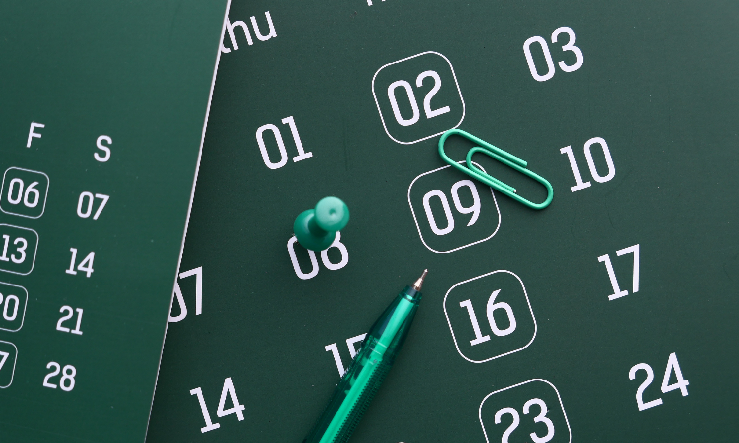 XIII European Congress of Entomology