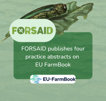 FORSAID practice abstracts published on EU FarmBook to advance forest pest management