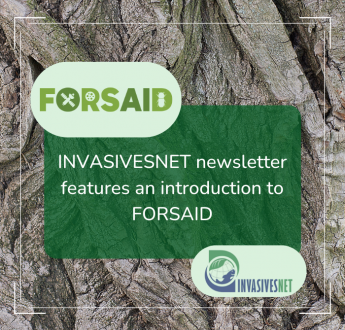 Latest INVASIVESNET newsletter features an introduction to FORSAID