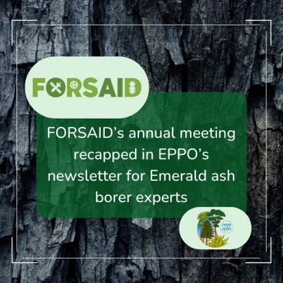 Recap of FORSAID’s annual consortium meeting in EPPO’s newsletter for Emerald ash borer experts