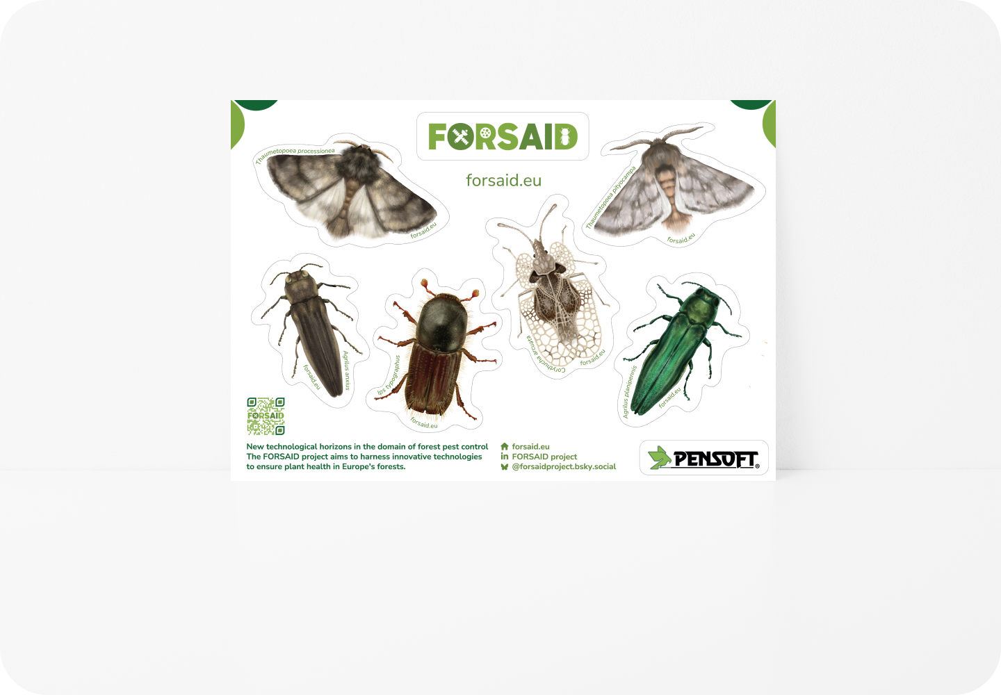 Sticker sheet of target species: Insects preview