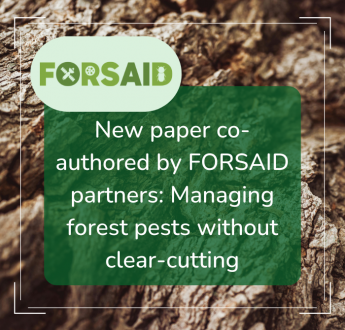 New paper co-authored by FORSAID partners examines the management of forest pests without clear-cutting