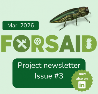 FORSAID’s third newsletter is out - now on LinkedIn as well
