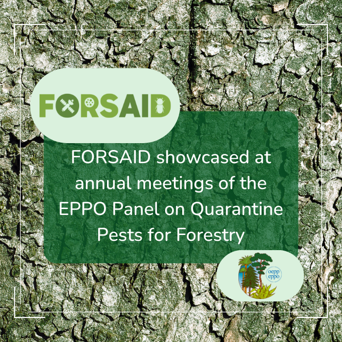 FORSAID showcased at annual meetings of the EPPO Panel on Quarantine Pests for Forestry