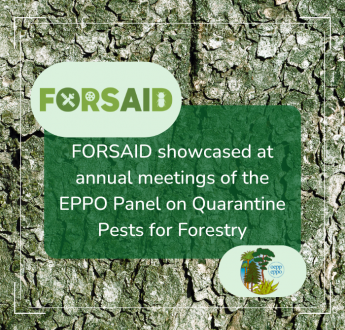 FORSAID showcased at annual meetings of the EPPO Panel on Quarantine Pests for Forestry