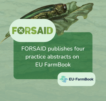 FORSAID practice abstracts published on EU FarmBook to advance forest pest management