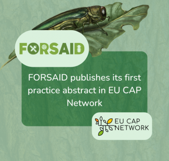 FORSAID publishes its first practice abstract on EU CAP Network