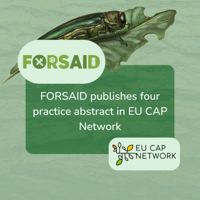 FORSAID publishes four practice abstracts on EU CAP Network