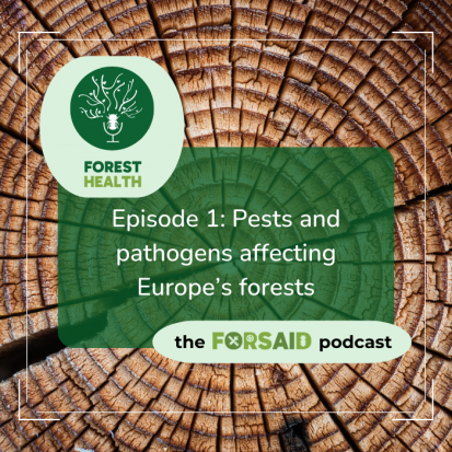 FORSAID launches its official podcast - ForestHealth