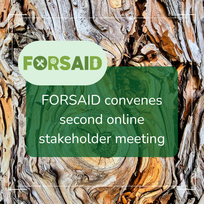 FORSAID gathers its Committee of Stakeholders for second online meeting