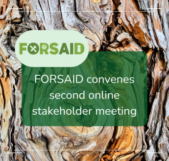 FORSAID gathers its Committee of Stakeholders for second online meeting