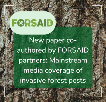 New paper co-authored by FORSAID partners explores how mainstream media covers invasive forest pests
