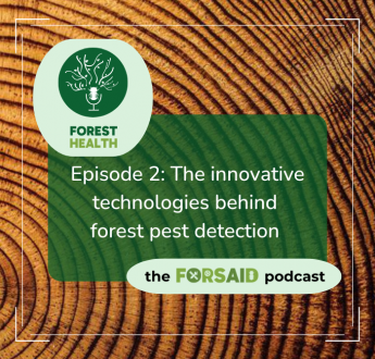 FORSAID’s latest ForestHealth podcast explores innovations in forest pest management