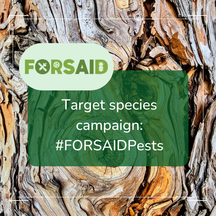 The third FORSAID social media campaign highlights the target species of the project