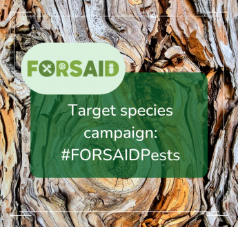 The third FORSAID social media campaign highlights the target species of the project