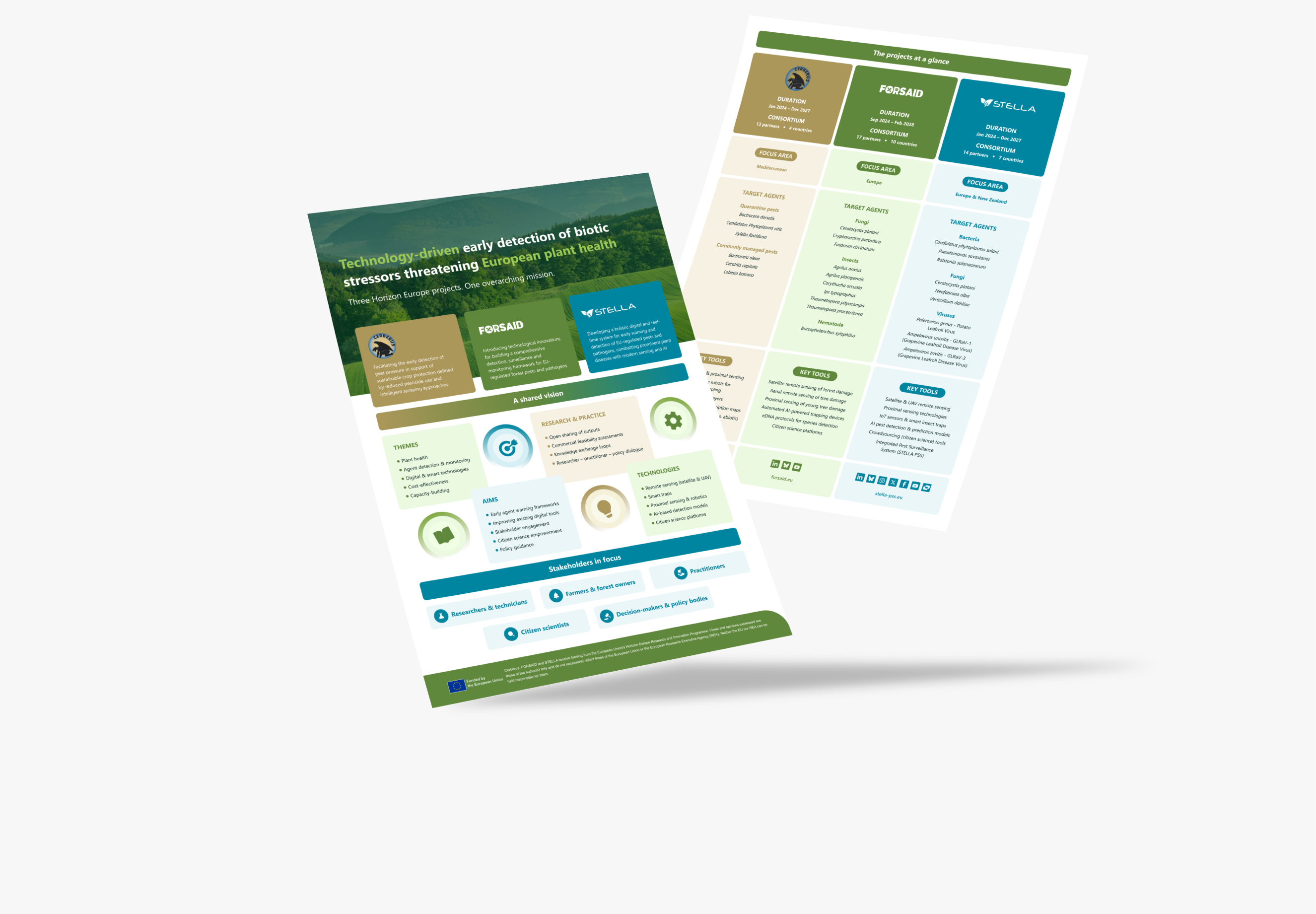 Joint factsheet preview