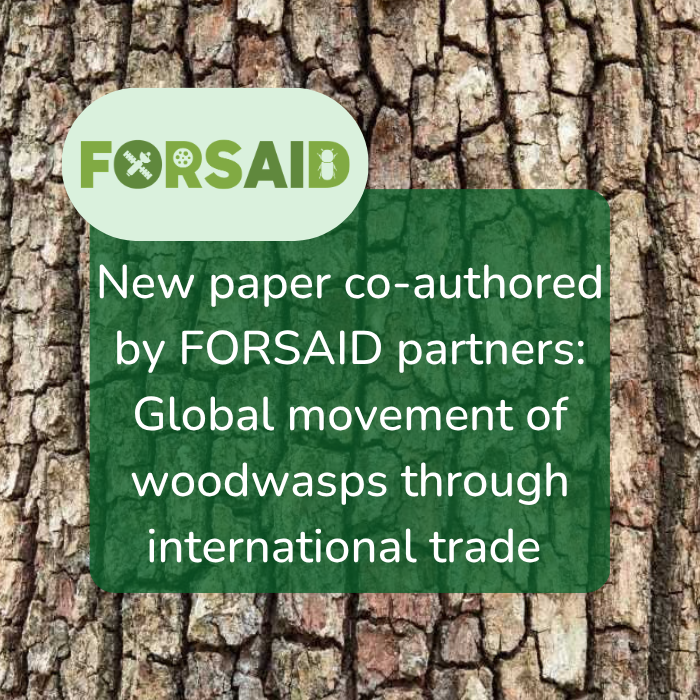 New paper co-authored by FORSAID partners examines woodwasp movement through global trade