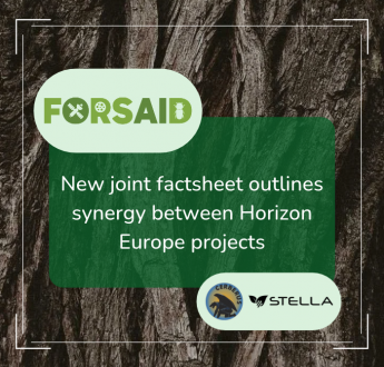 Safeguarding European plant health: New joint factsheet outlines synergy between Horizon Europe projects FORSAID, CERBERUS and STELLA