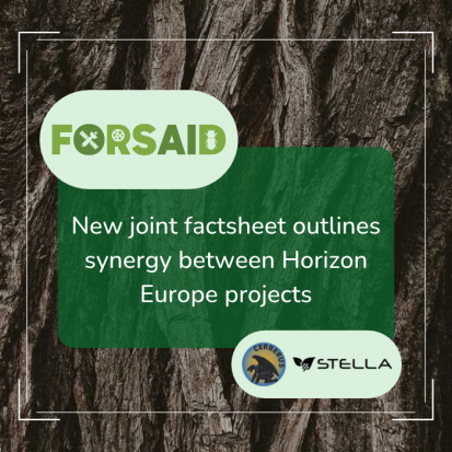 Safeguarding European plant health: New joint factsheet outlines synergy between Horizon Europe projects FORSAID, CERBERUS and STELLA