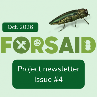 FORSAID's fourth newsletter features the project's first demonstration workshop